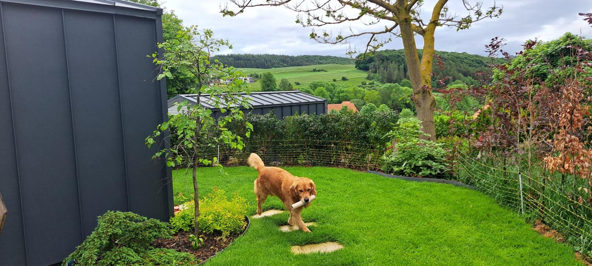 Sauerland-Tinyworld - Ihr Tiny Ferienhaus Im Sauerland Am Diemelsee Экстерьер фото