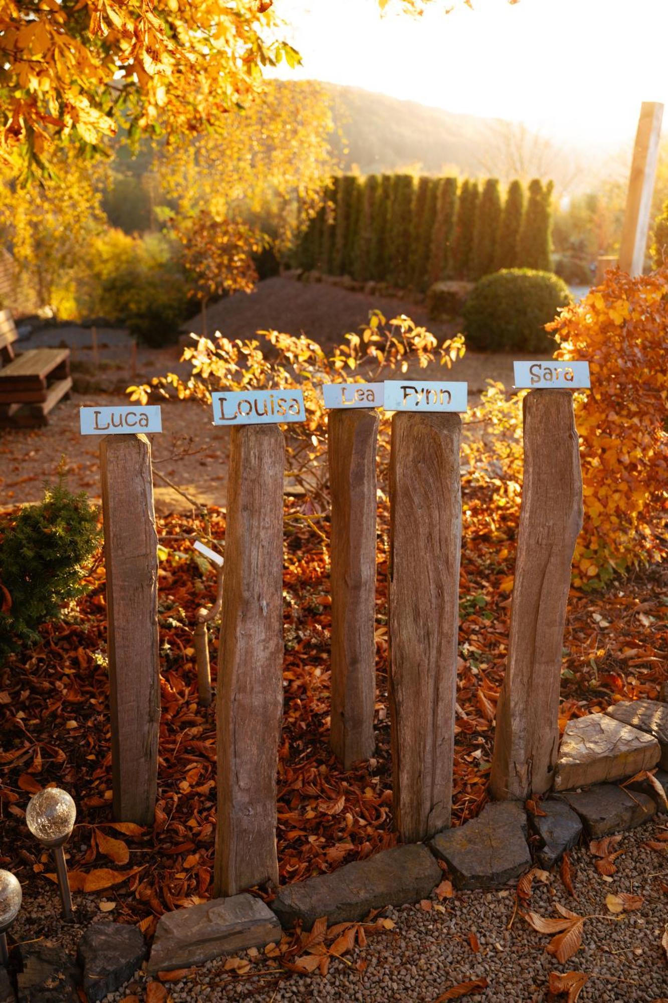 Sauerland-Tinyworld - Ihr Tiny Ferienhaus Im Sauerland Am Diemelsee Экстерьер фото