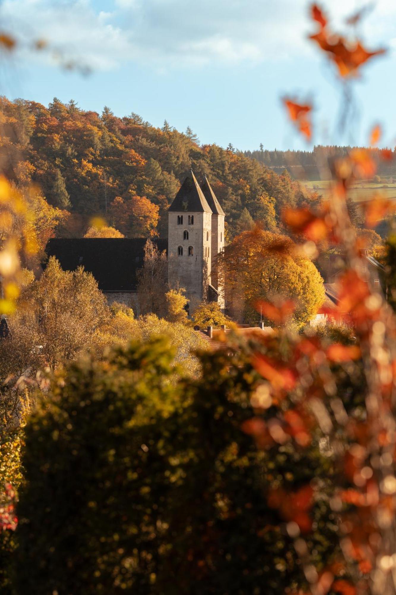 Sauerland-Tinyworld - Ihr Tiny Ferienhaus Im Sauerland Am Diemelsee Экстерьер фото
