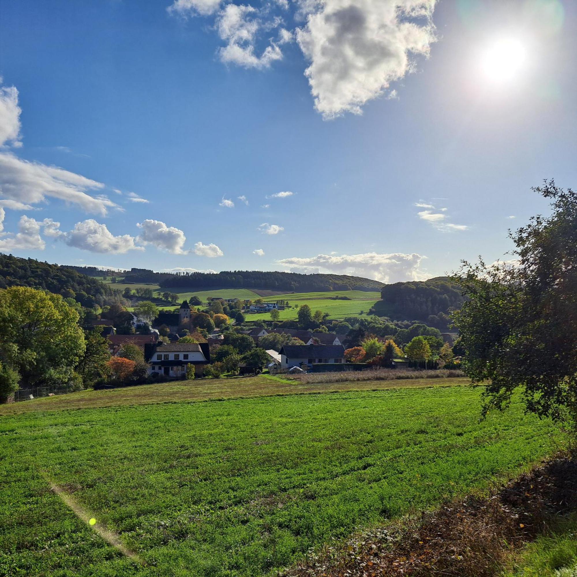 Sauerland-Tinyworld - Ihr Tiny Ferienhaus Im Sauerland Am Diemelsee Экстерьер фото