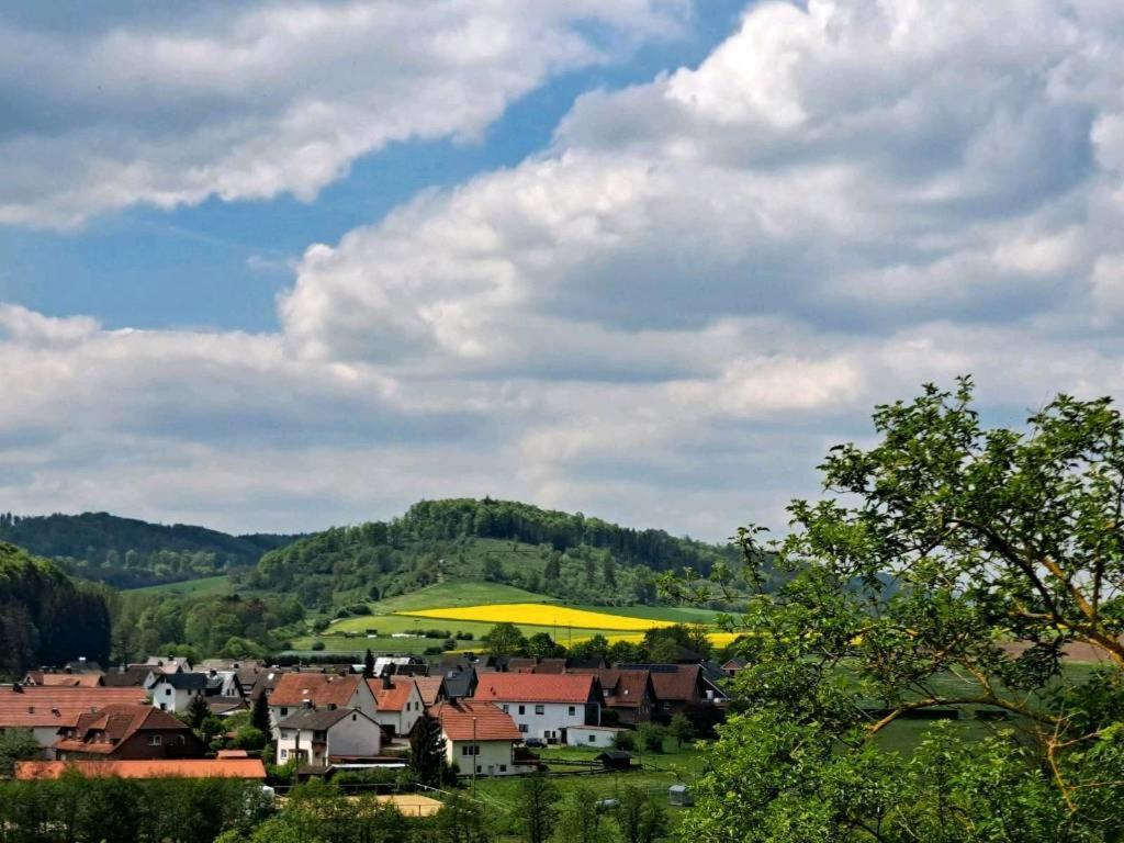 Sauerland-Tinyworld - Ihr Tiny Ferienhaus Im Sauerland Am Diemelsee Экстерьер фото
