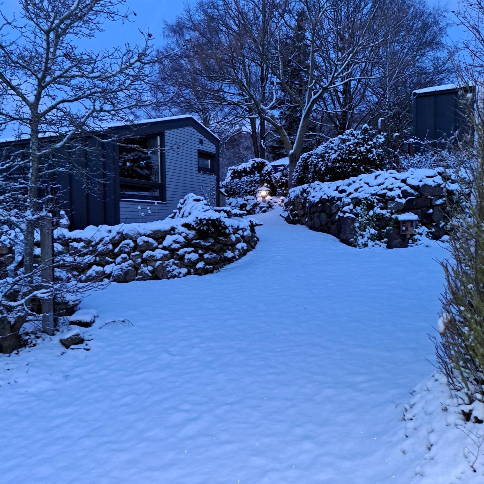 Sauerland-Tinyworld - Ihr Tiny Ferienhaus Im Sauerland Am Diemelsee Экстерьер фото